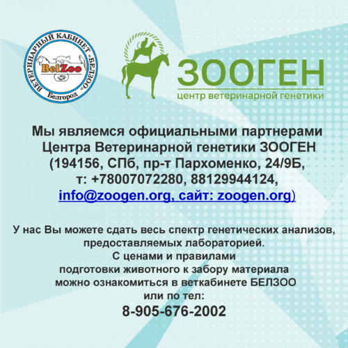 zoogen-partner-500x500.png