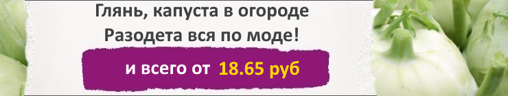 Купить семена капусты Кольраби, цена низкая, доставка почтой наложенным платежом по России, курьером по Москве - интернет-магазин АгроБум