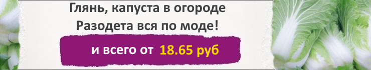 Купить семена капусты Пекинской, цена низкая, доставка почтой наложенным платежом по России, курьером по Москве - интернет-магазин АгроБум