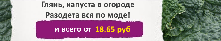 Купить семена капусты Савойской, цена низкая, доставка почтой наложенным платежом по России, курьером по Москве - интернет-магазин АгроБум