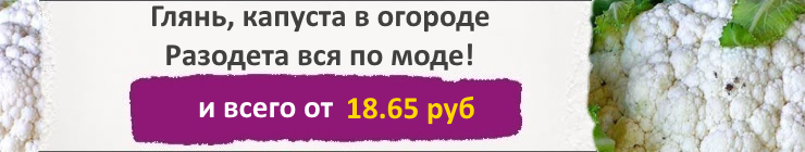 Купить семена капусты Цветной, цена низкая, доставка почтой наложенным платежом по России, курьером по Москве - интернет-магазин АгроБум