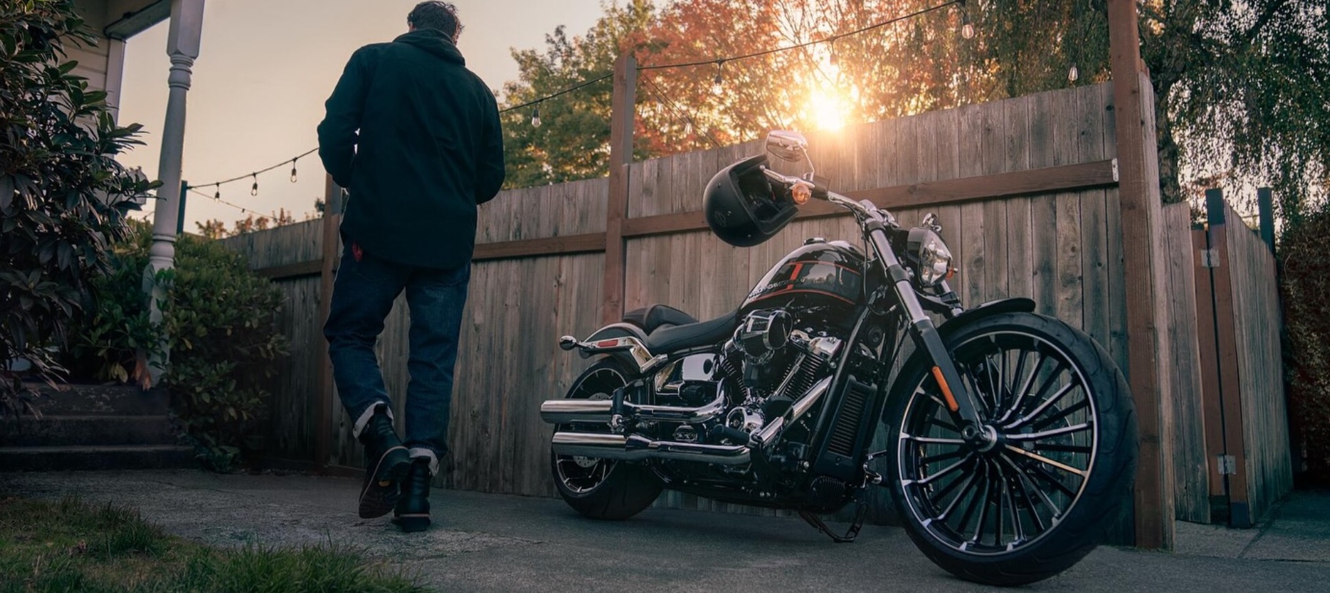 Softail