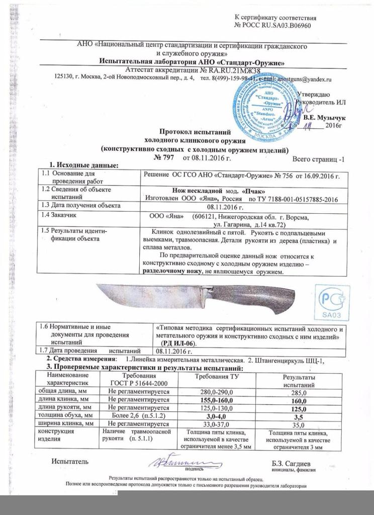 Пчак.jpeg