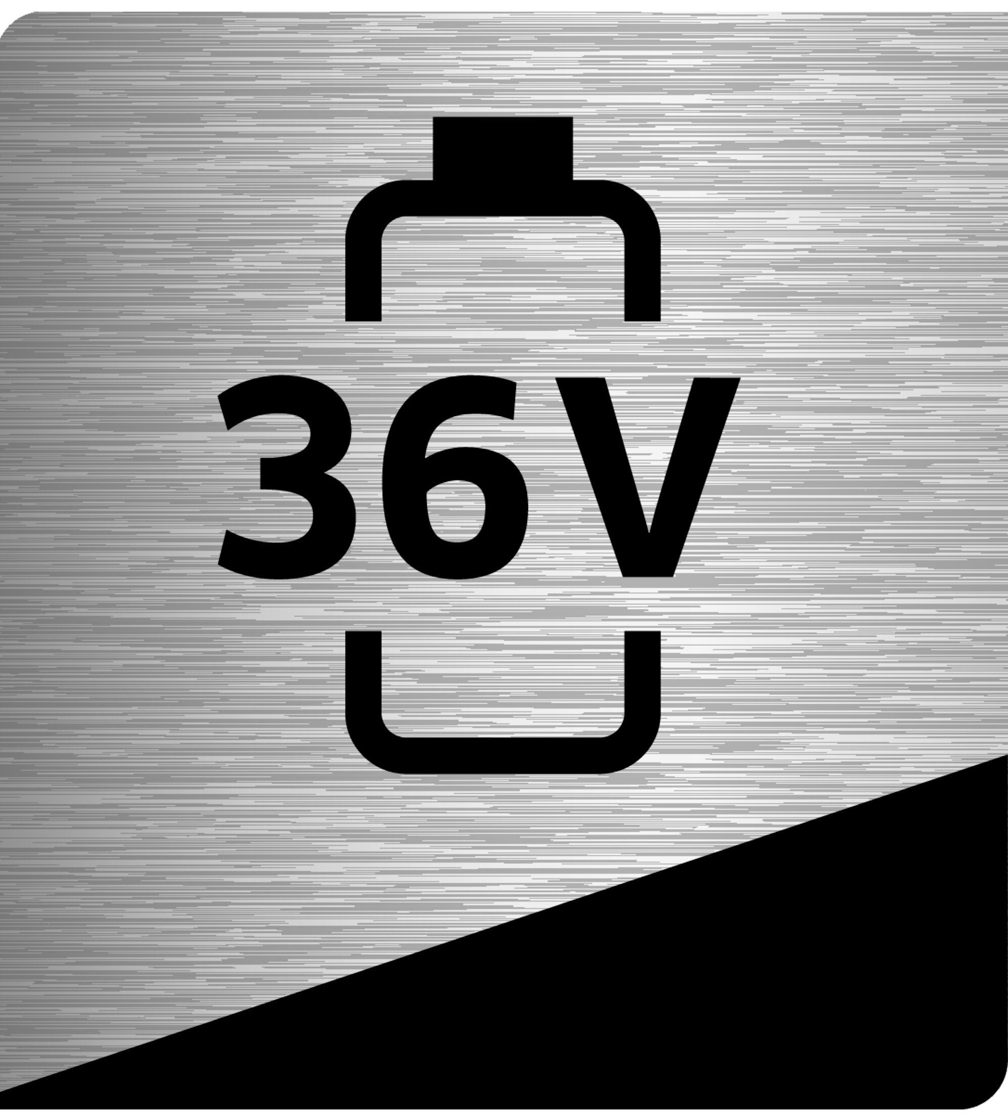 picto_battery_power_36V_1c_oth_01_CI15284_1.jpg