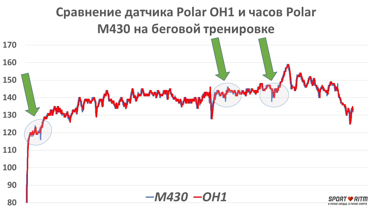 Сравнение графиков пульса Polar M430 и Polar OH1