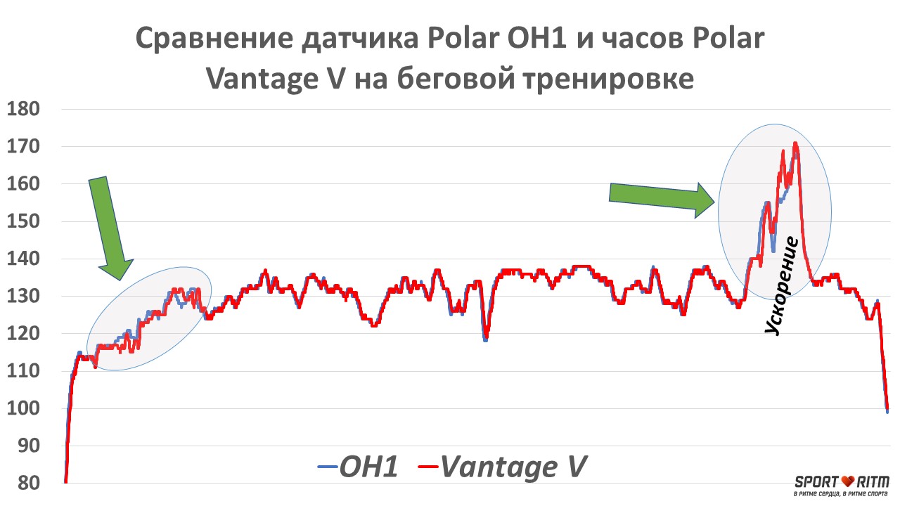 Сравнение графиков пульса Polar Vantage V и Polar OH1