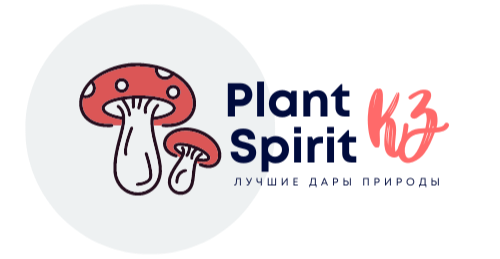 Plantspirit.kz