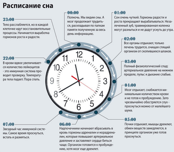 Заставить мозг работать: какие методы действительно помогают