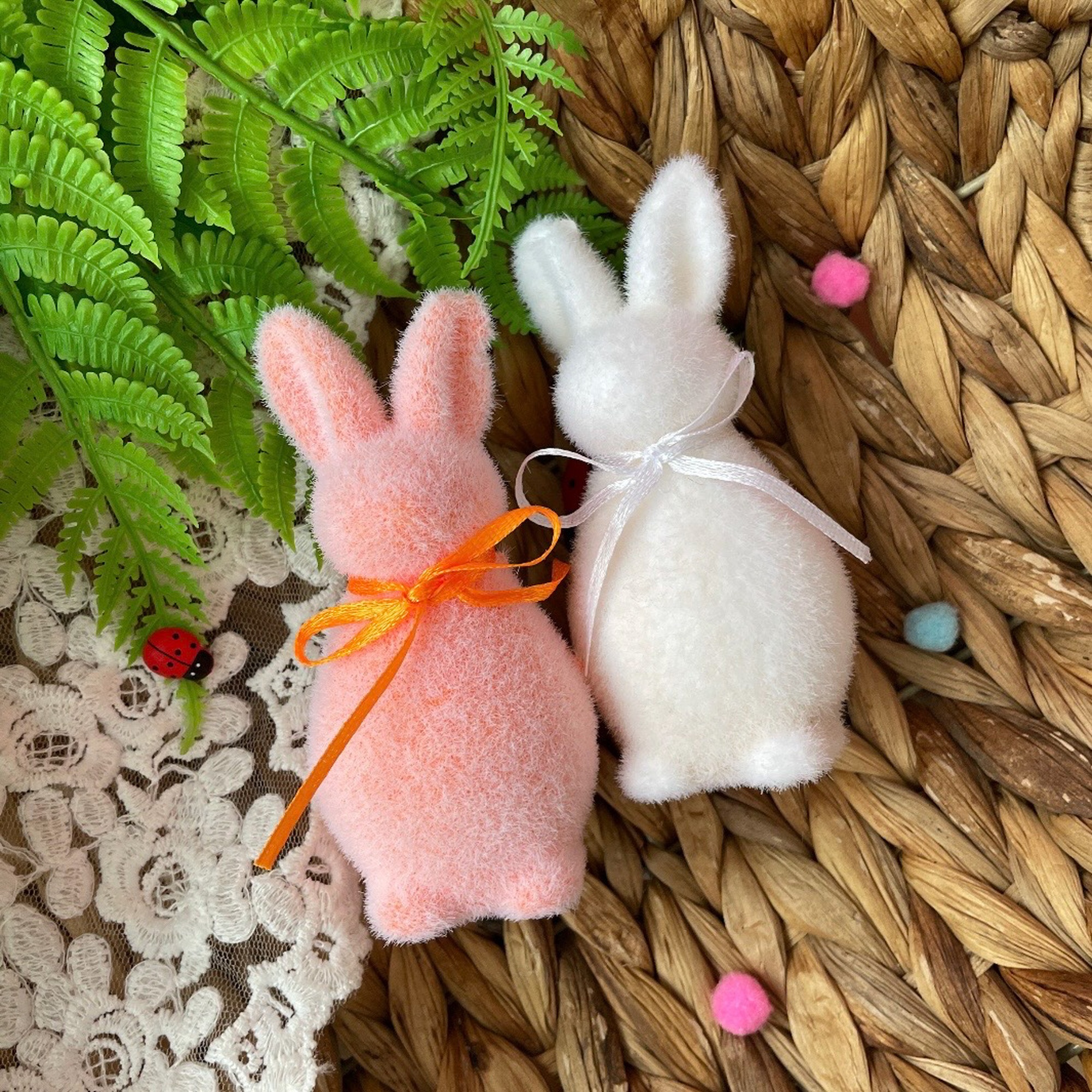 IMG_8401 IMG_8401.jpg