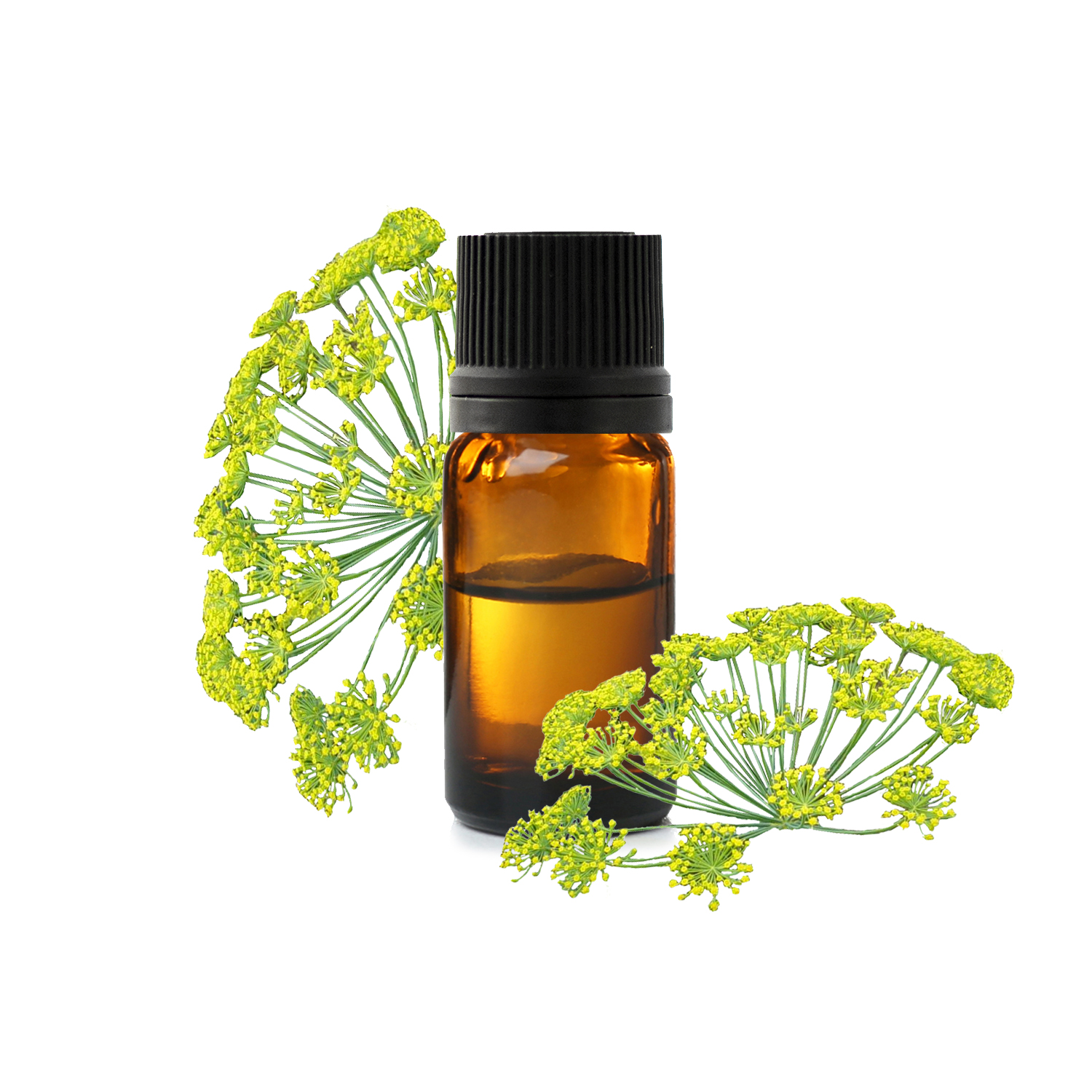 Любисток.jfif