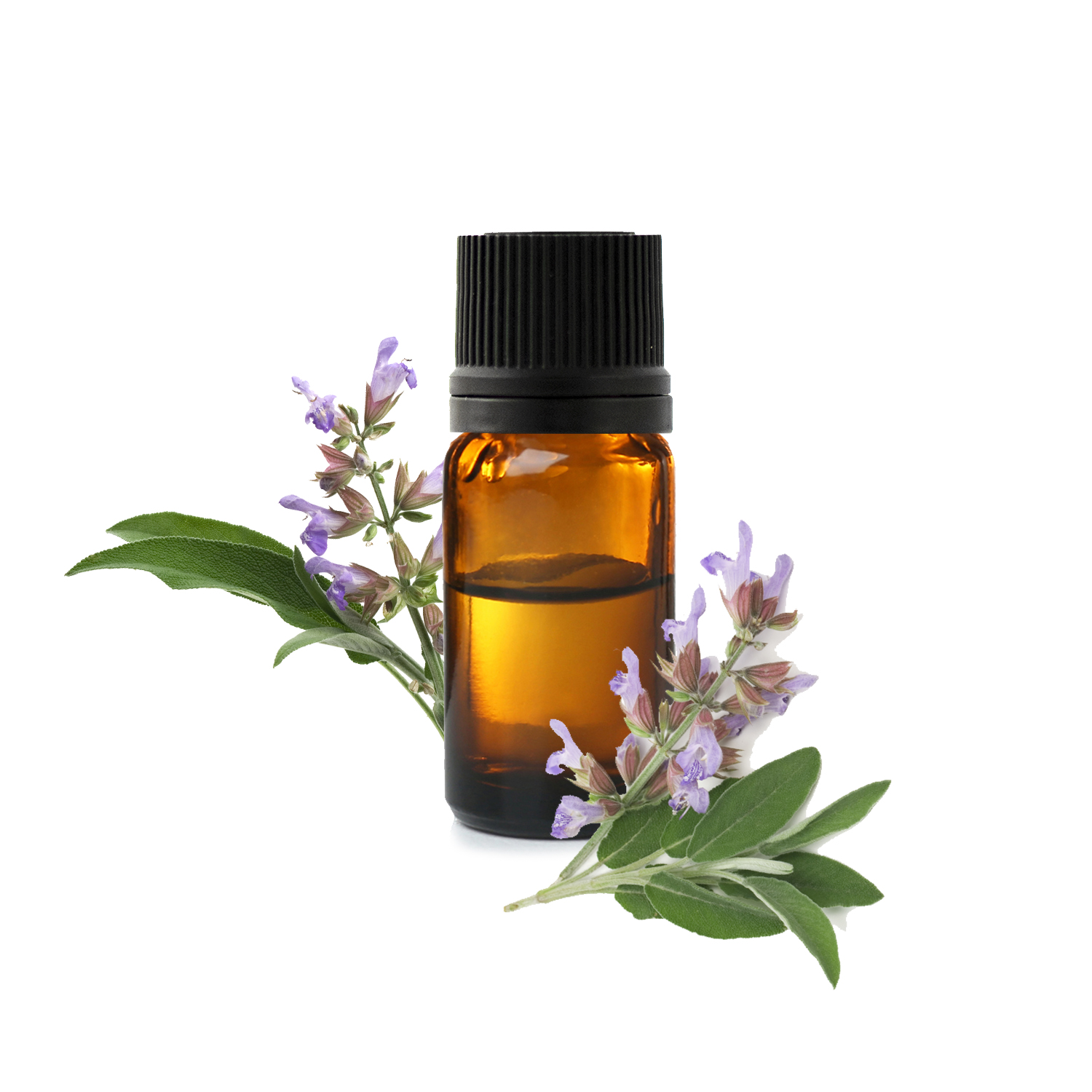 Шалфей лавандовый.jfif