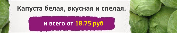 Купить семена Капусты, цена низкая, доставка почтой наложенным платежом по России, курьером по Москве - интернет-магазин АгроБум