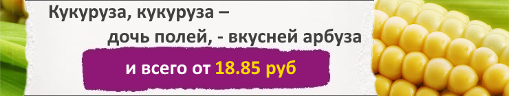 Купить семена Кукурузы, цена низкая, доставка почтой наложенным платежом по России, курьером по Москве - интернет-магазин АгроБум