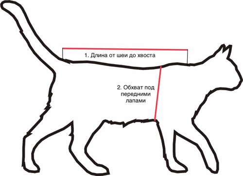 Размер кошки