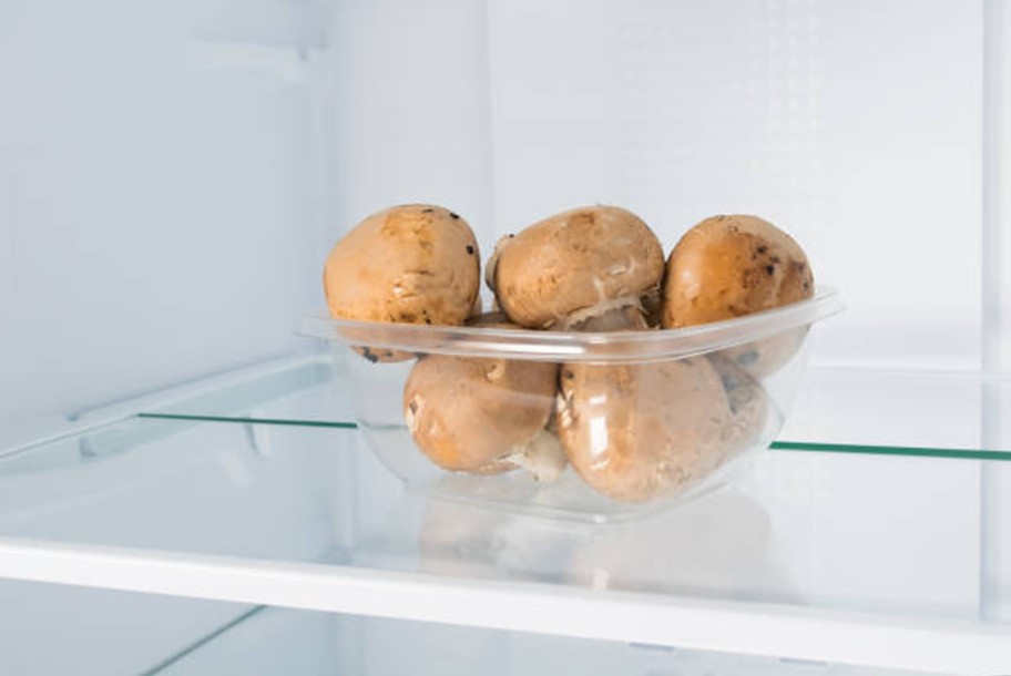 Как сохранить свежесть грибов