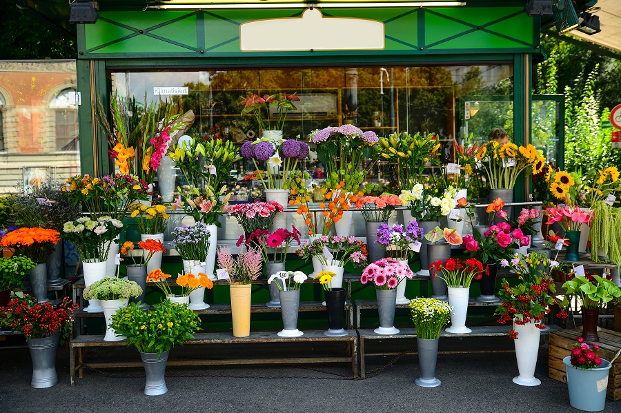 Как открыть цветочный магазин – основные факторы риска и подводные камни