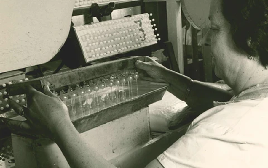 купить Majorica Москва