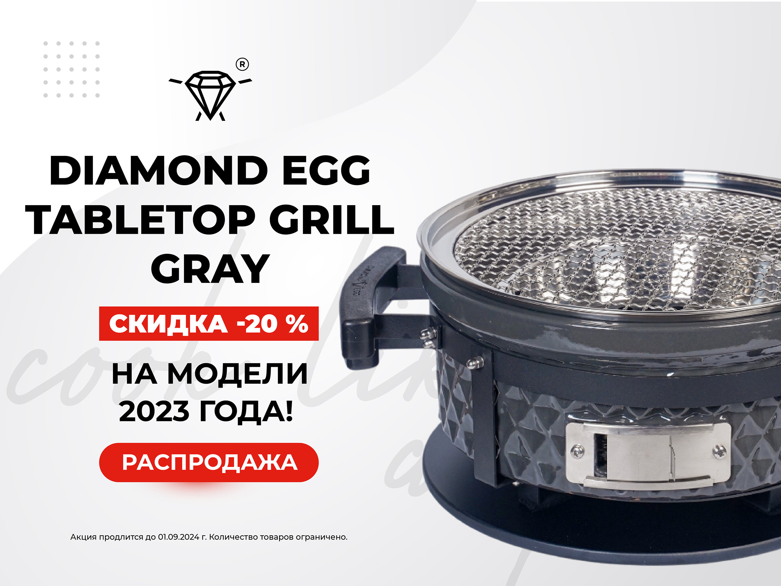 Diamond Egg Tabletop Grill_2560х1920_горизонтальный-02.jpg