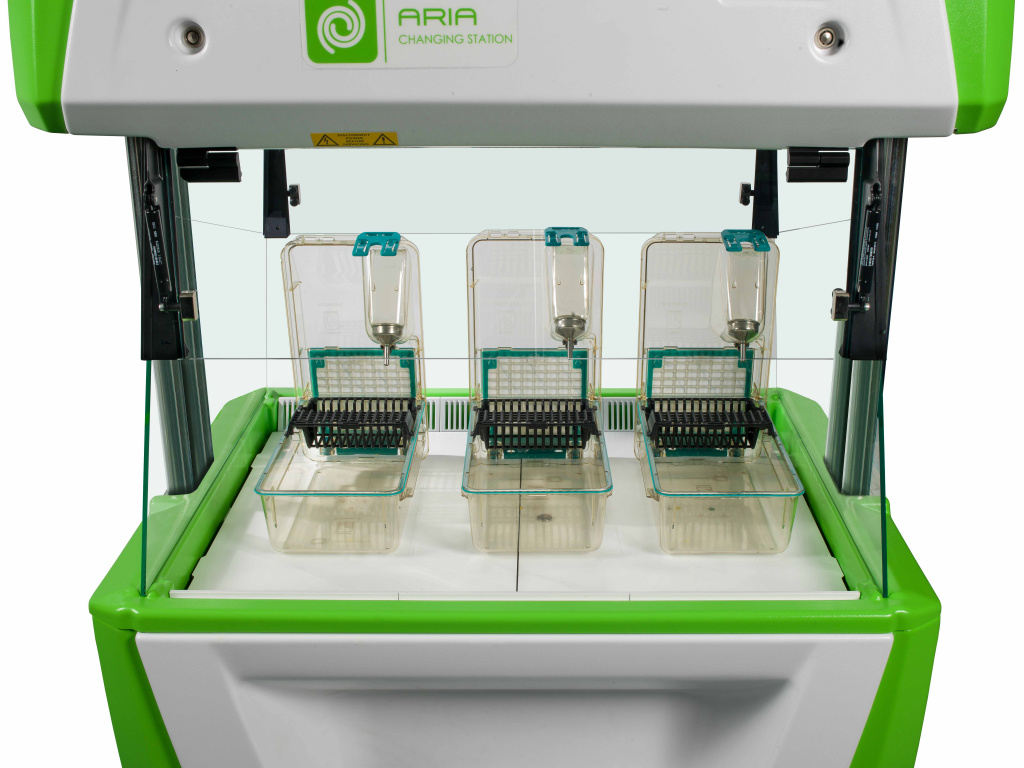 3 июня 2021 2.jpg