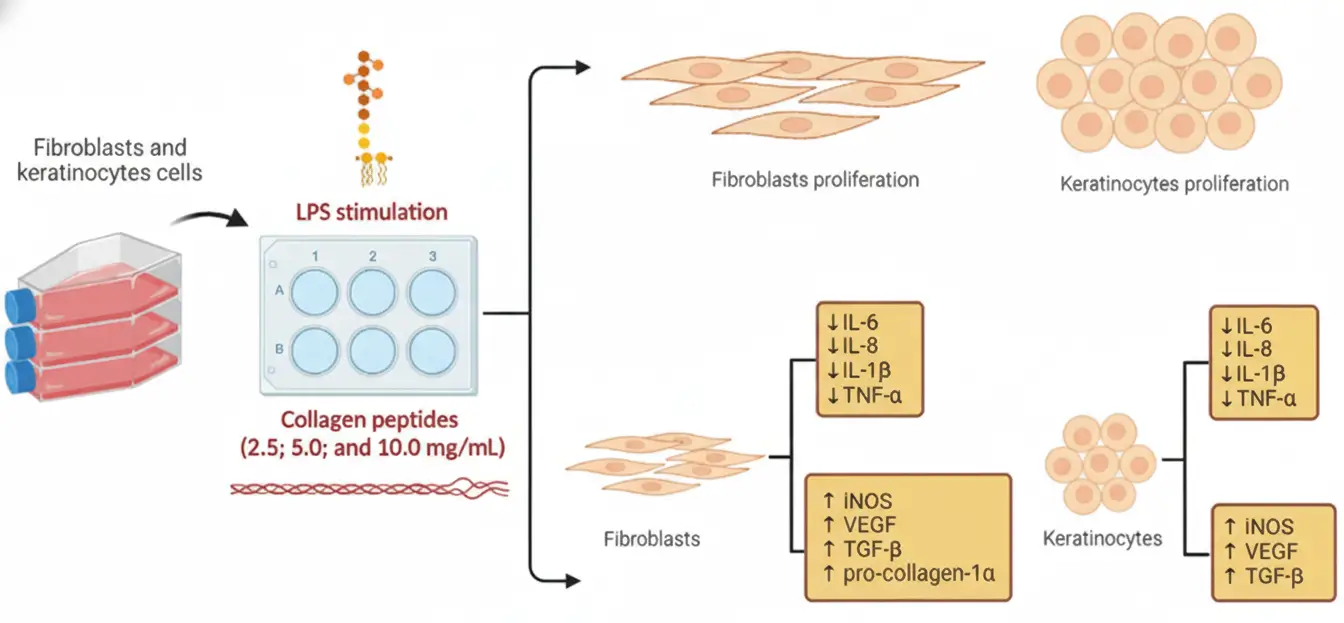 blog-peroralniy_collagen blog-peroralniy_collagen