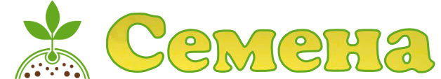 Магазин "СЕМЕНА"