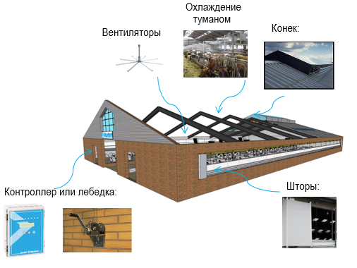 Типичная схема принудительной вентиляции и охлаждения в коровнике: