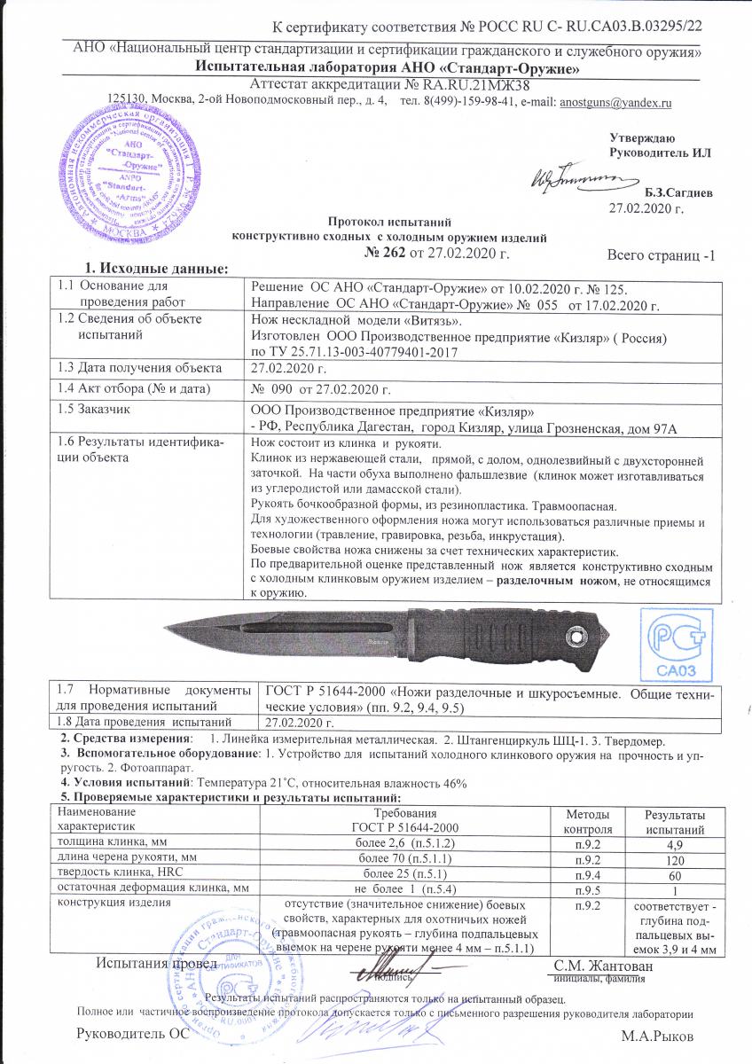 витязь.jpeg
