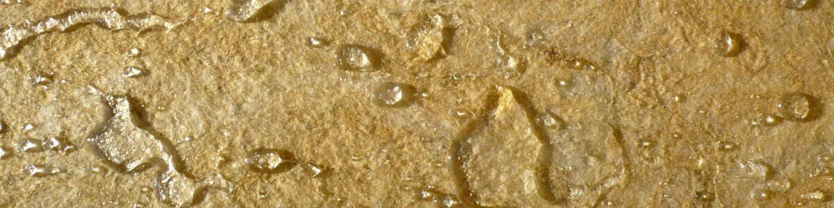 scale_1200 300.jpg