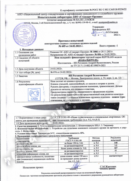 кабальеро 1.jpeg