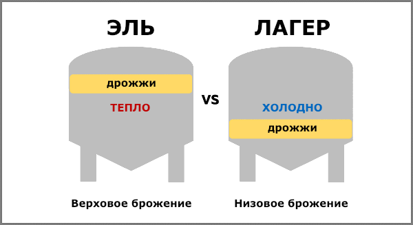 scale_1200.png
