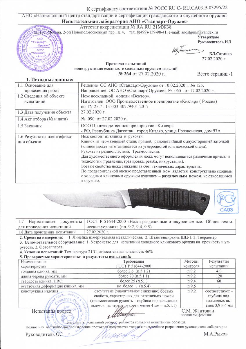 вектор вектор.jpeg