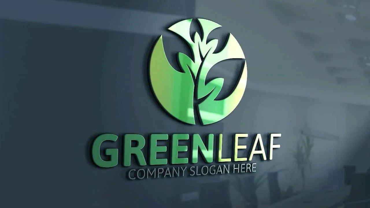 ИП - Магомедов Ш.