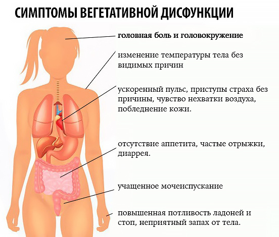 ᐈ Вегетососудистая дистония: симптомы, лечение ~ 【ВСД】