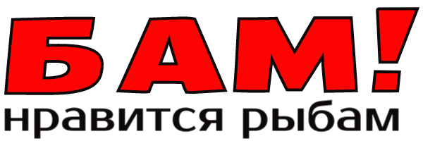 БАМ! Поклевка в руку
