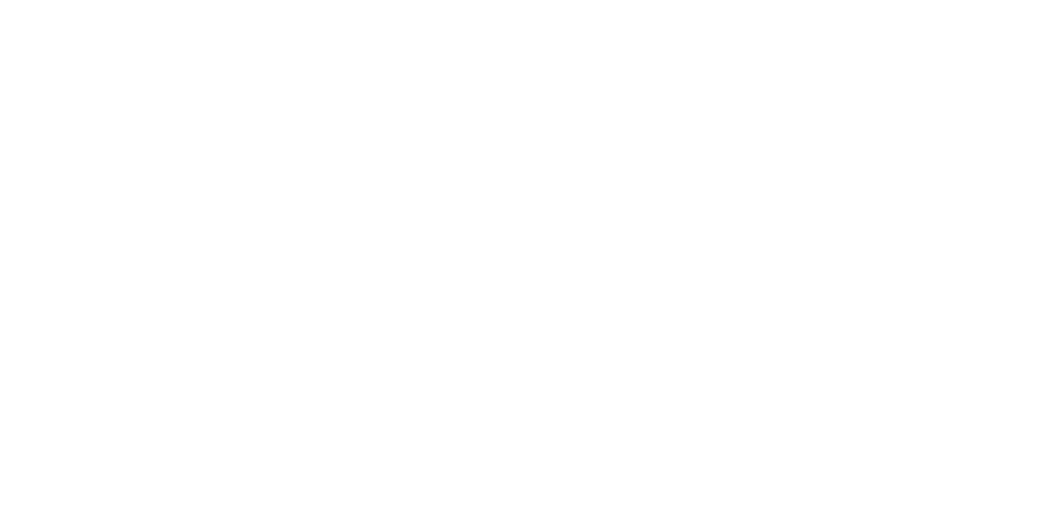 LOGO 2025-20.png
