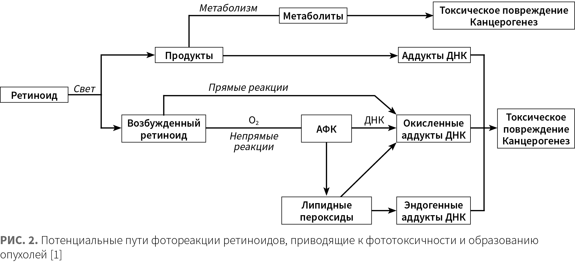 Эрнандес (Виши) КМ 3-2024_Рис 2.jpg