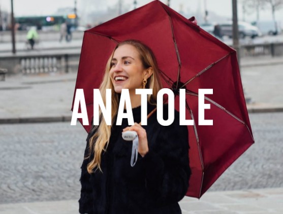 ANATOLE_banner_bagandwallet_.jpg