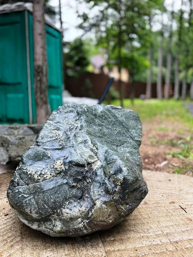 Отлично смотрится в ландшафтных композициях