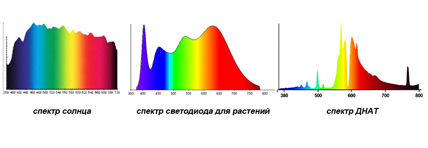 На рисунке представлены спектры излучения для двух люминесцентных ламп излучающих белый или зеленый