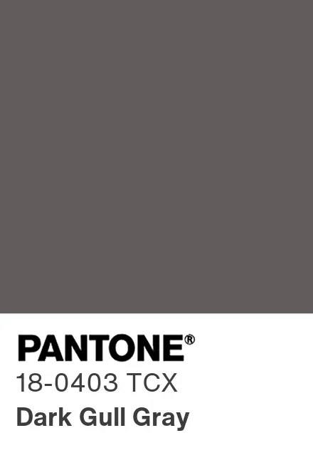 PANTONE 18-0403 TCX Dark Gull Gray — Темно-серая чайка