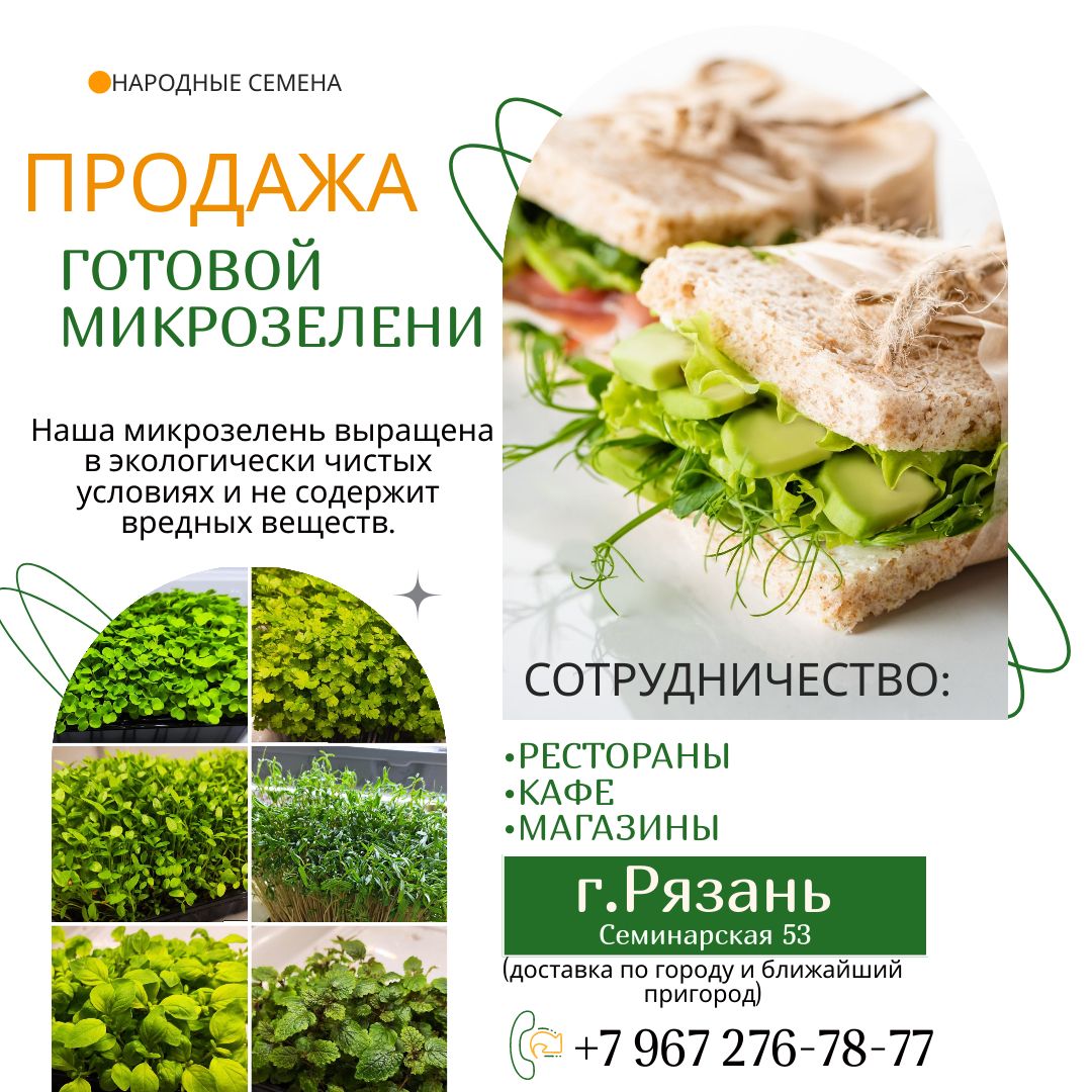 Микрозелень в Рязани