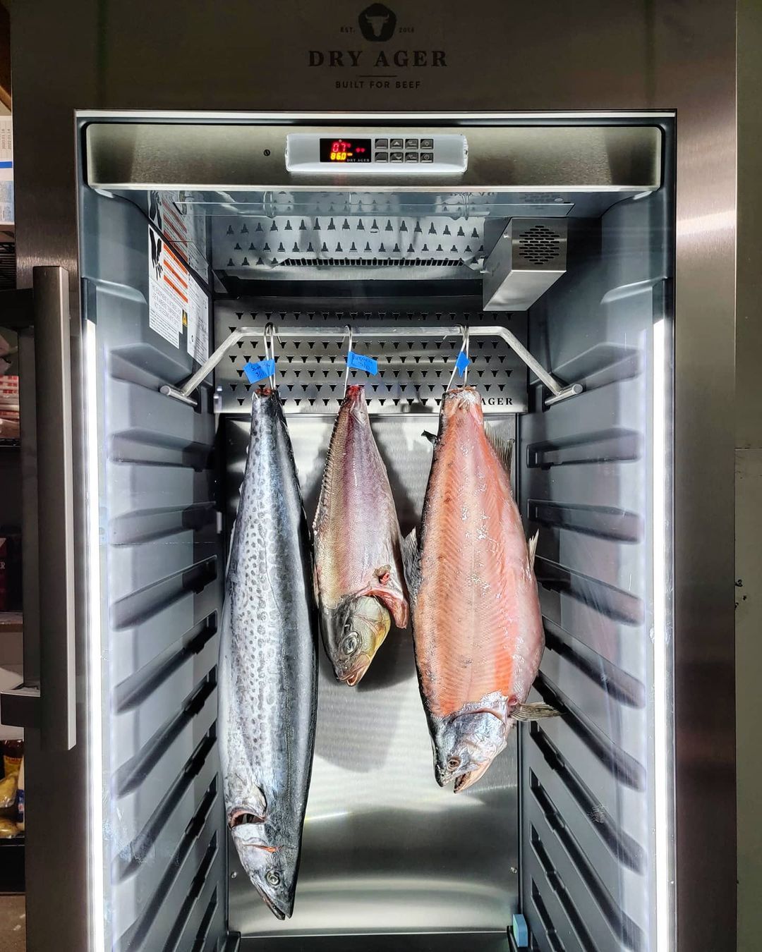 Шкафы Dry Ager – революция в приготовлении рыбы
