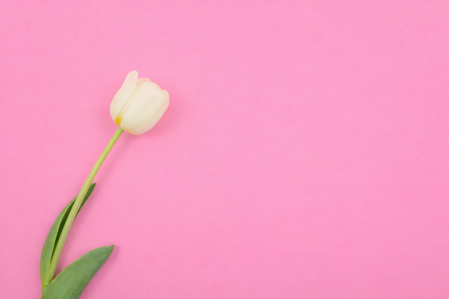 Подкормка для цветов