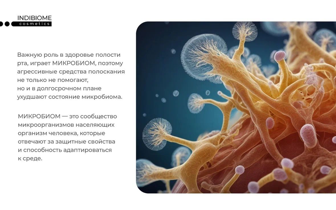 Изображение WhatsApp 2025-07-25 в 17.20.59_12e8afe7.jpg