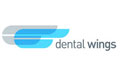 dentwings1.jpg
