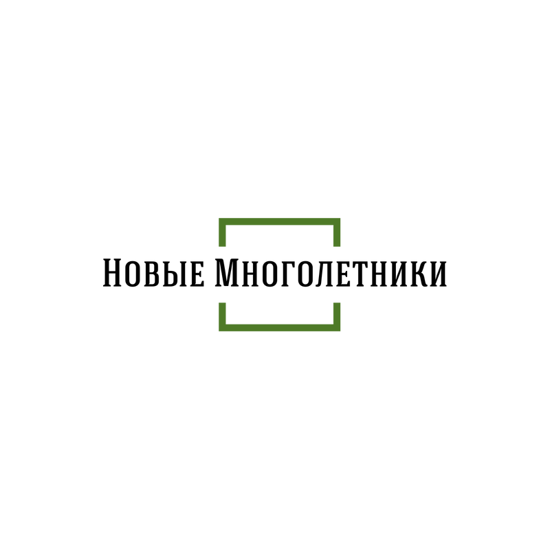 Новые Многолетники