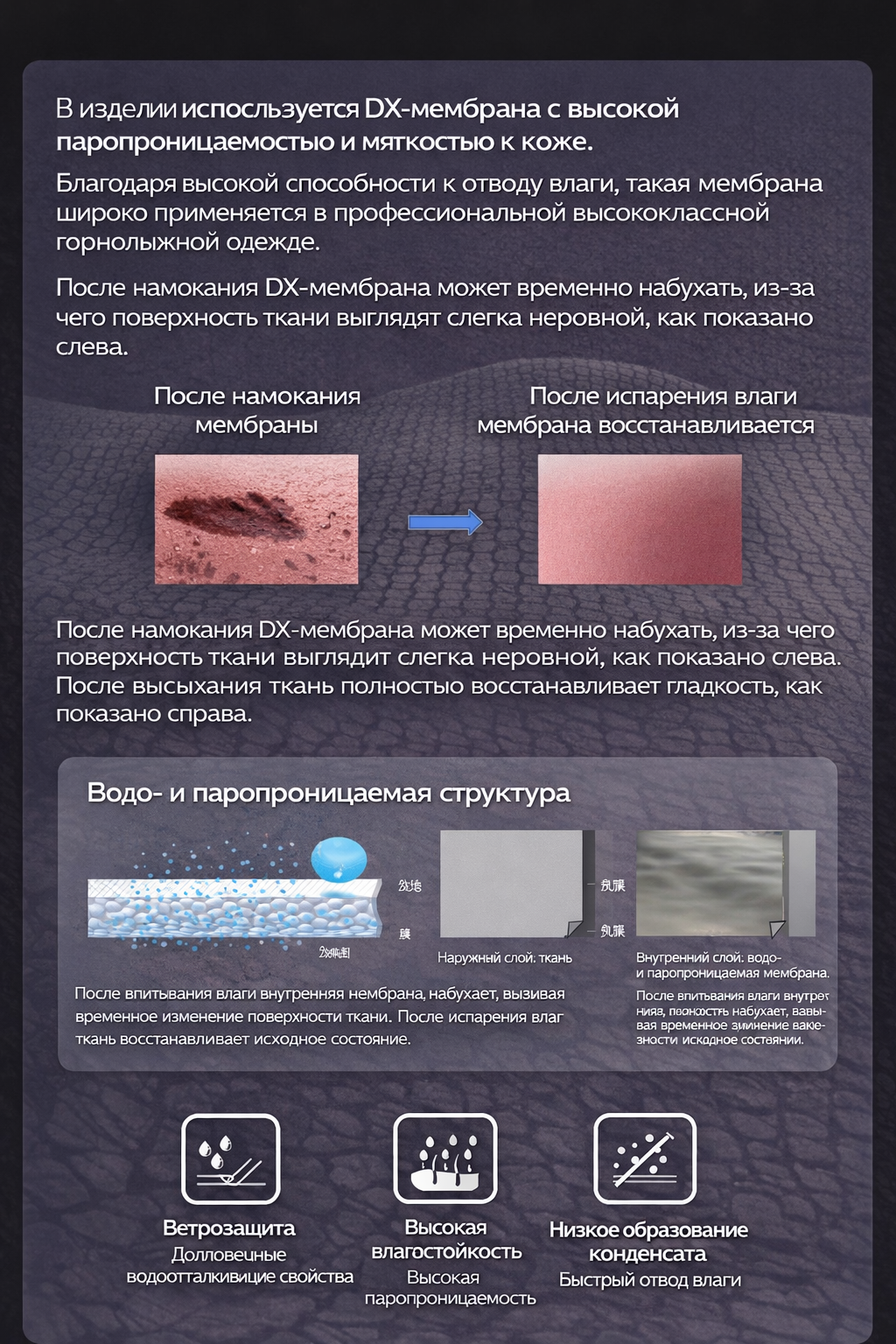 ChatGPT Image 20 янв. 2026 г., 17_18_50.png