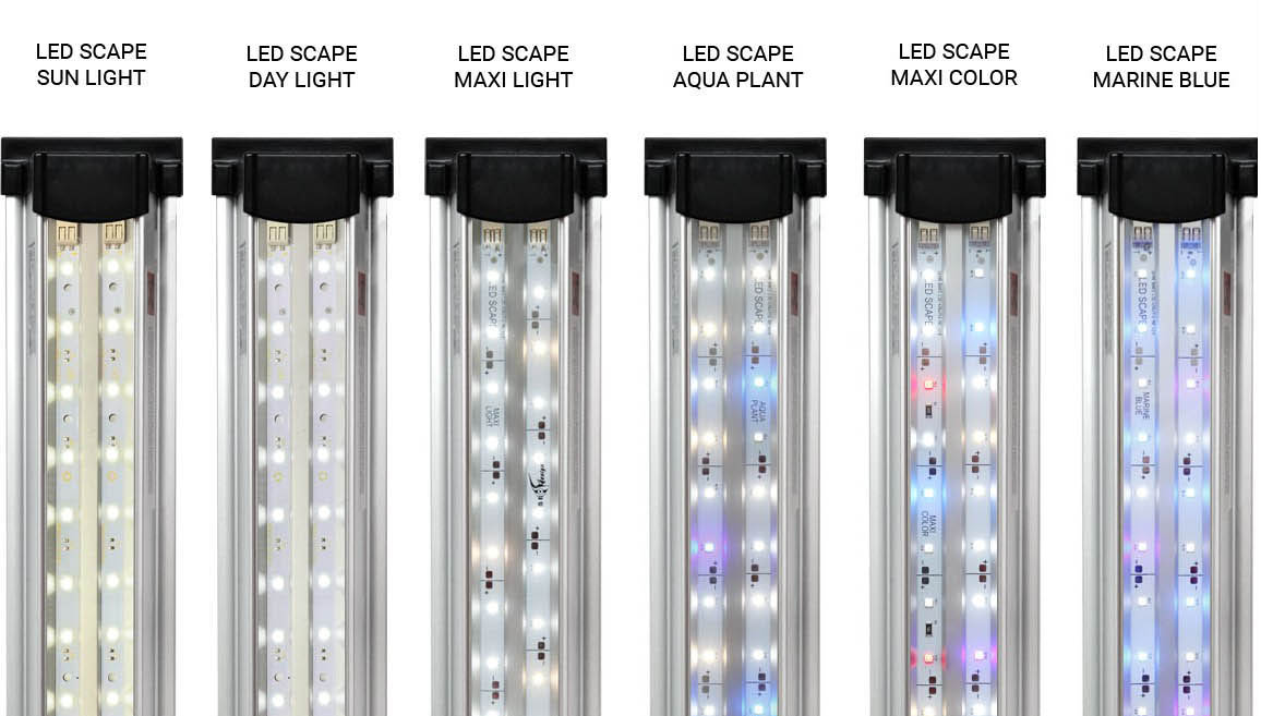 lamp-main-2 .jpg