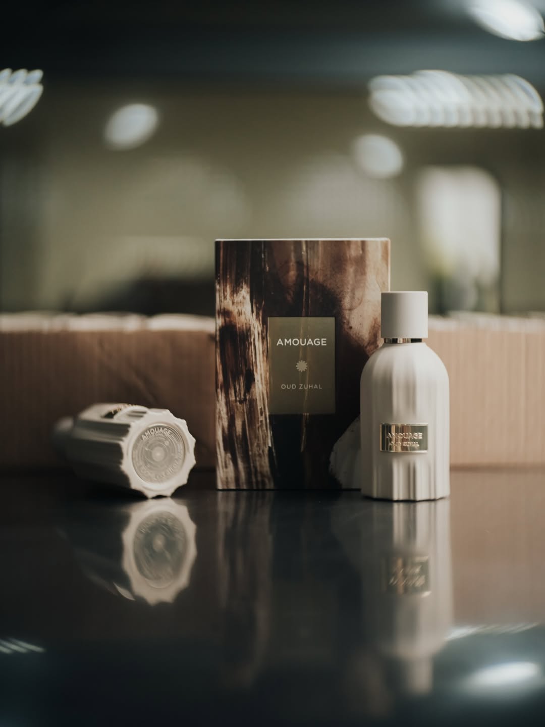 IMG_6341 IMG_6341.JPG