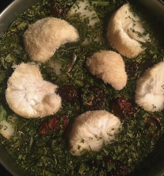 Грибной салат из ежовика